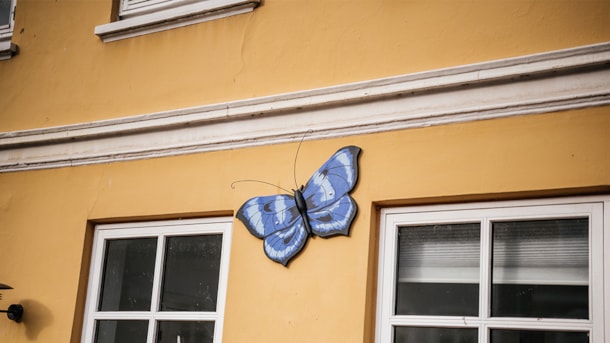 Galleri Be-Gee - Billedkunst og sommerfugle