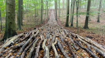 TICKON: Organic Highway, Mikael Hansen