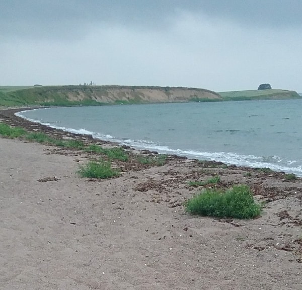 Badepunkt: Åsø Strand