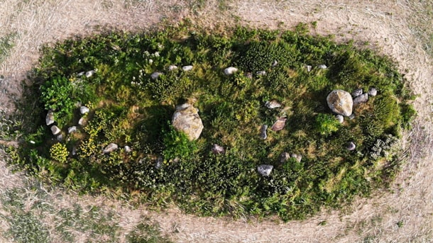 Langdolmen auf Renevejen