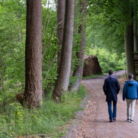 Gåtur: Stengade Skov