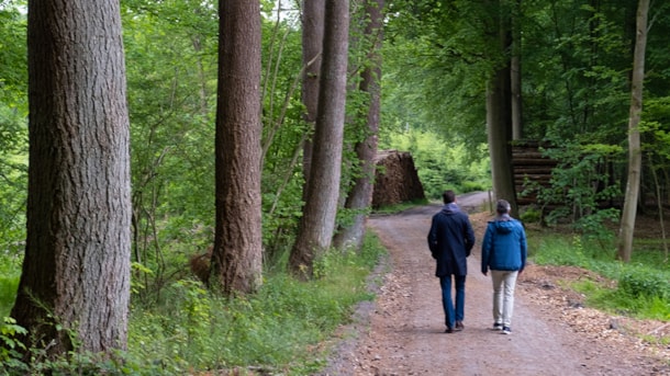 Gåtur: Stengade Skov