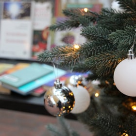 Weihnachtsbuchmarkt in der gemütlichen Bibliothek von Langeland