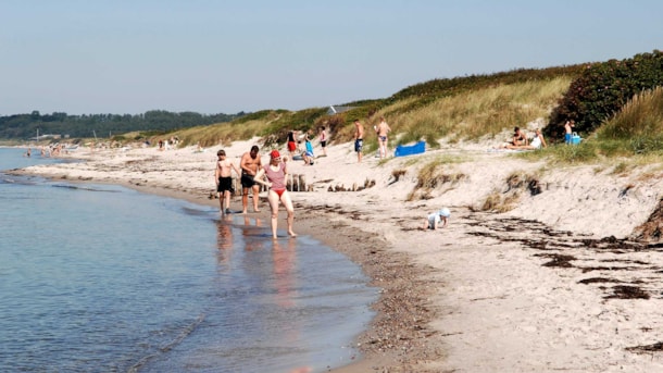 Ristinge Strand