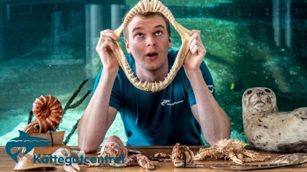 Children's Culture Festival: BlæksprutteSjov in Lohals