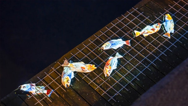 Glimt 2025: fish-anxious