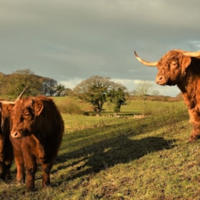 Natur Destination Skovsgaard