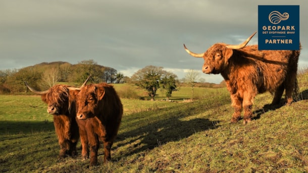 Nature destination Skovsgaard