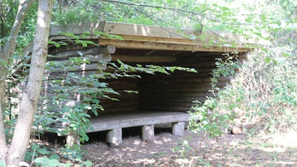 Shelter site in Trunderup forest