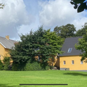 Fugleviglund
