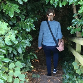 Hiking Trail: Afgrunden Vissenbjerg