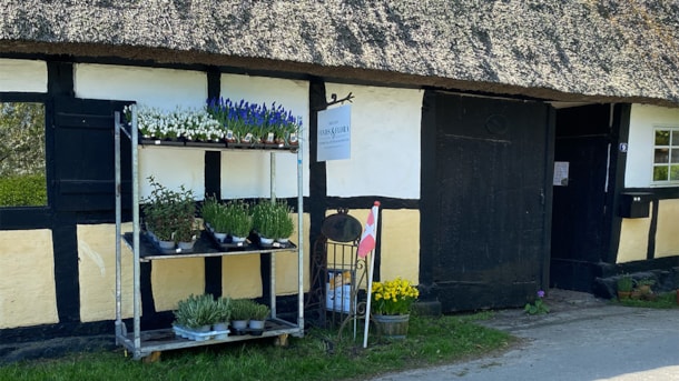 Helnæs Finds & Flora