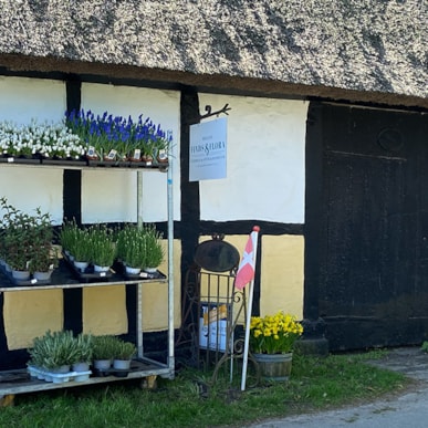 Helnæs Finds & Flora