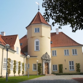 Christmas dinner at Gl. Avernæs Sinatur Hotel