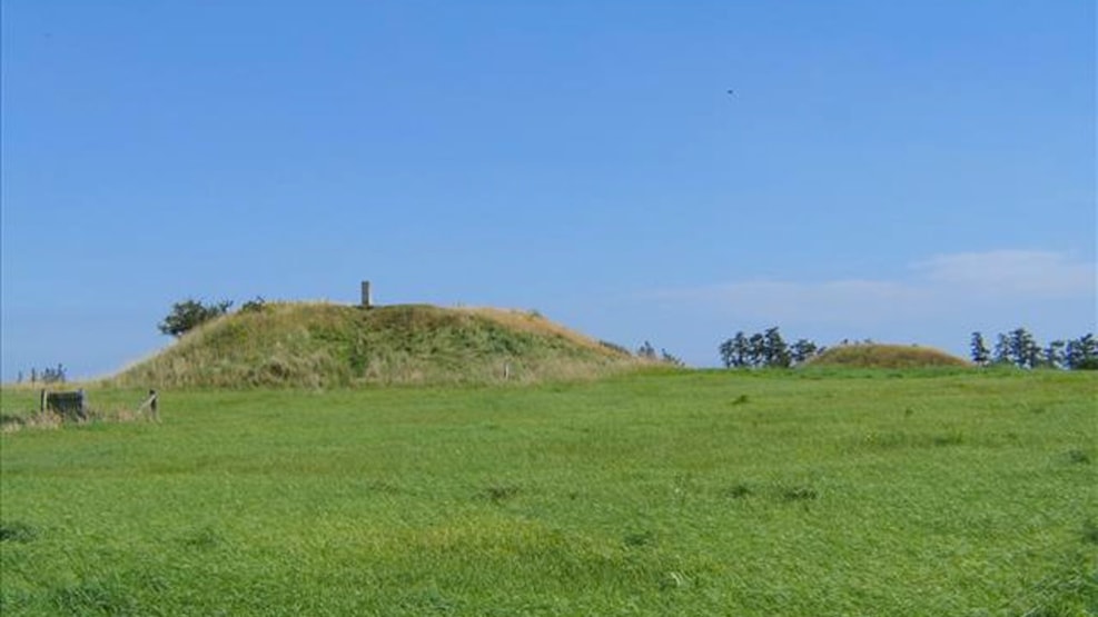 Gasse Høje - ancient mounds - Skærbæk