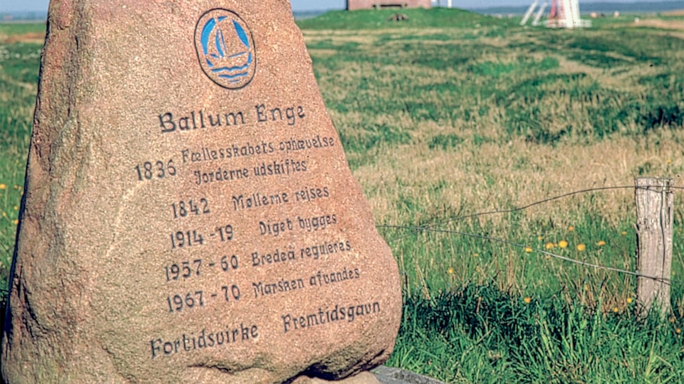 Ballum Enge - Meadows of Ballum