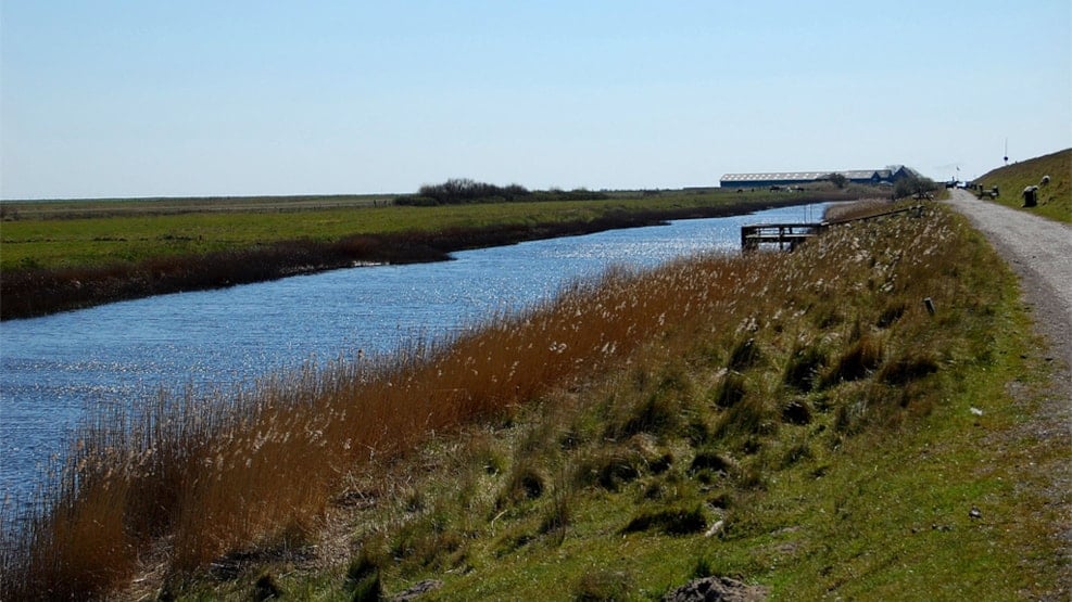 opbevaring pålægge damp Rømø Fiskesø | Fiskevande