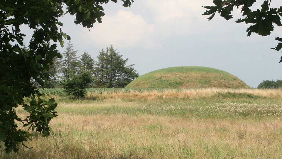 Skelhøj, barrow at Tobøl