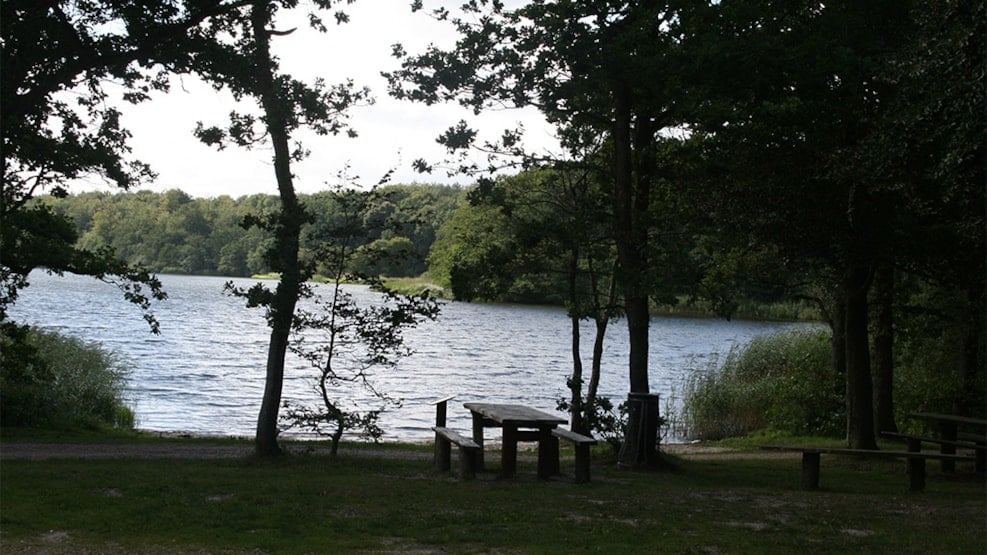 Angling in Jels Nedersø og Jels Midtsø