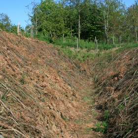 Der Panzergraben in Lintrup