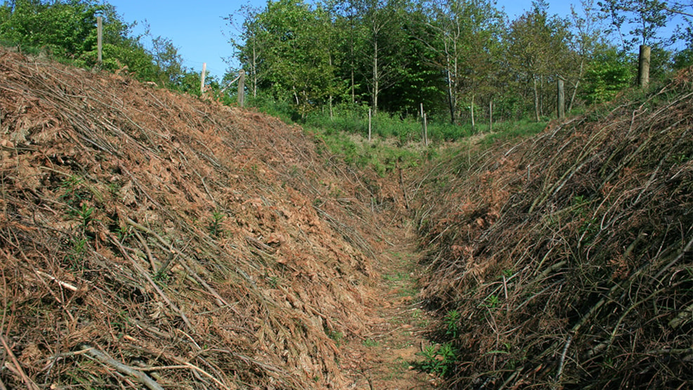 Anti-tank trench in Lintrup