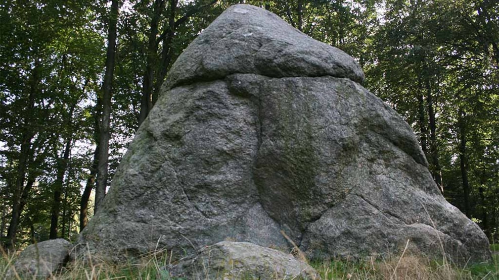 The Tirslund Plantation with the Tirslund Rock