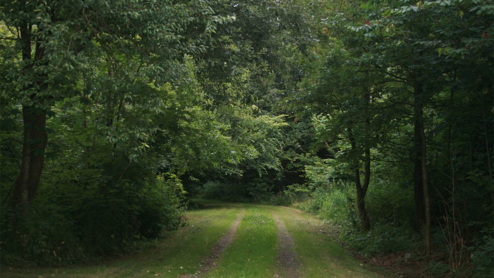 Marked routes in Rødding Præsteskov