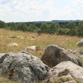 Gräberfeld bei Harreby