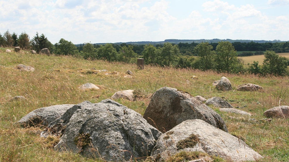 Burial site, Harreby