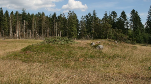 Dolmen mit länglicher Steinsetzung in Klelund Plantage