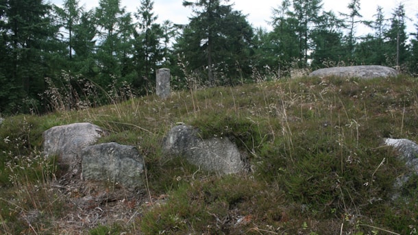 Tinghøj, burial mound, Klelund Plantage