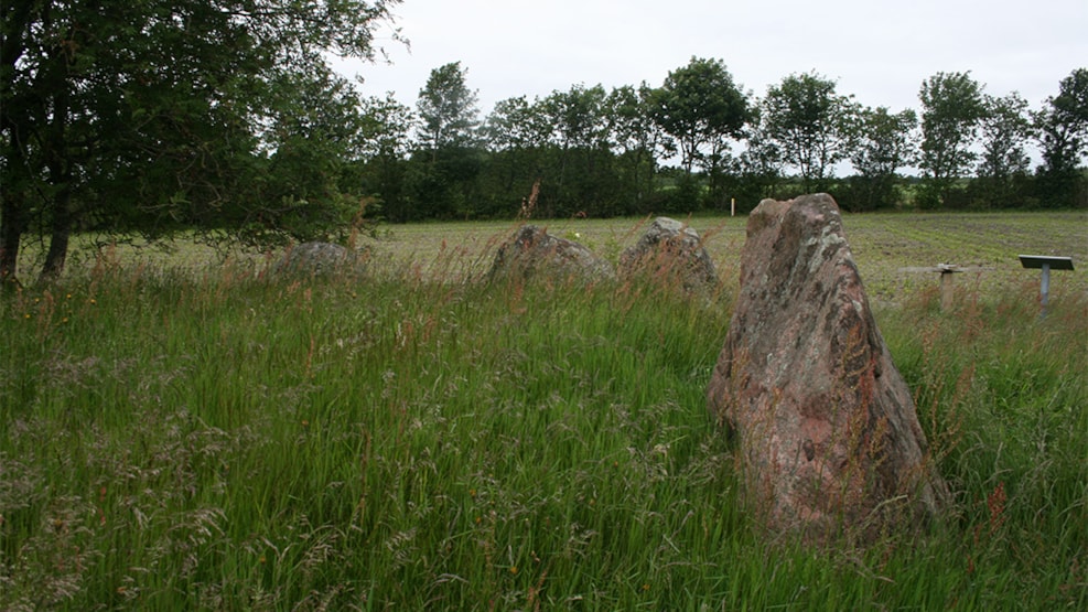 Long dolmen, Vittrup