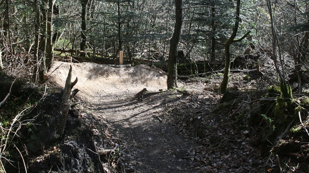 MTB-route in Stursbøl Plantage, Jels