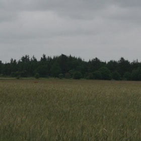 Radarstation og flygtningelejr, Skødevej ved Bække 