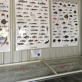 Den lille FIskebutik, Hovborg