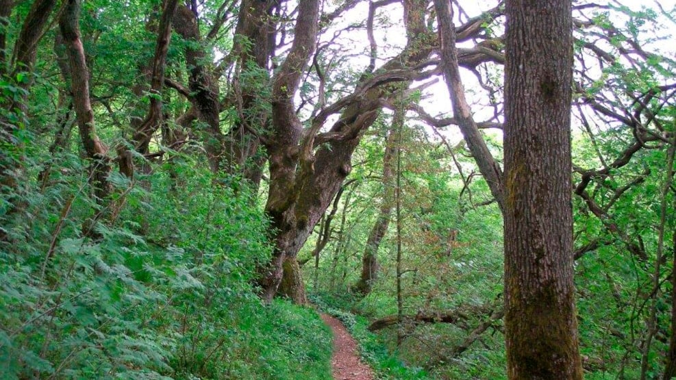 Quality trail, Baldersbæk, Hovborg