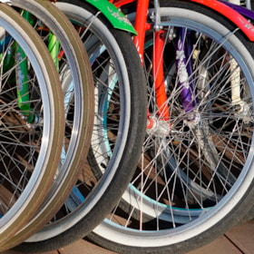 Bicycle Rental in Kolding and Billund - Bike Rental 