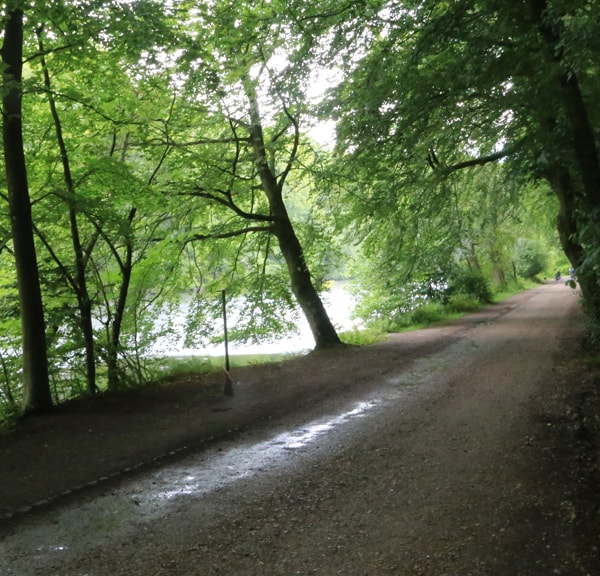 Marielundssøen/skoven - Smuk skov i Kolding Midtby 
