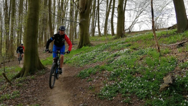 "Rock and Roll" Marielund - MTB Tour mit Guide in Kolding