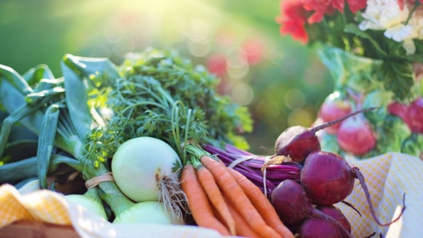 Nørballegård Frugt & Grønt - Fruit and Vegetables near Kolding