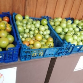 Landlyst Bageri & Gårdbutik mellem Kolding og Egtved