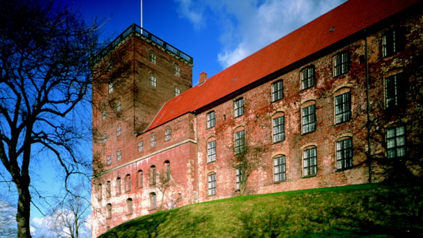 Koldinghus - Pragtfuldt slot i midten af Kolding 