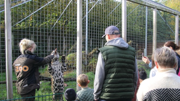 Meet wild animals at Skærup Zoo with a Be Happy Pass