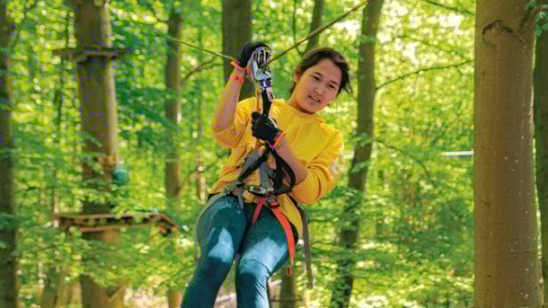Dschungelabenteuer im Gorilla Park