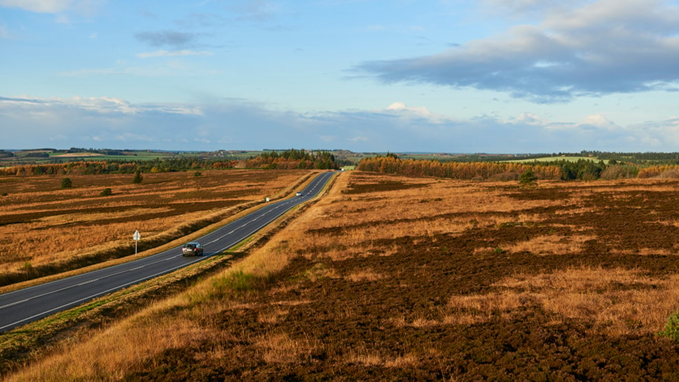 Rundvandretur i Trehøje (Trehøje Trails)