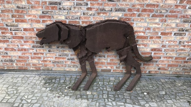 Skyggen af en hund