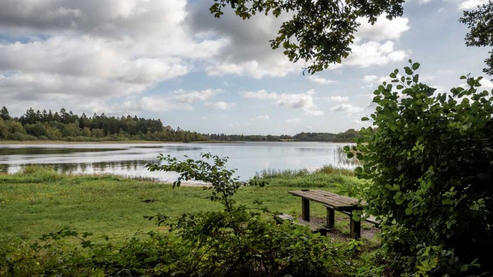 Hampen Lake and Palsgård Forest Walks