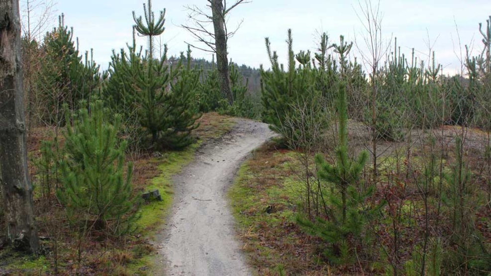 Cycling rote: Hjortsballe Høje and Momhøje