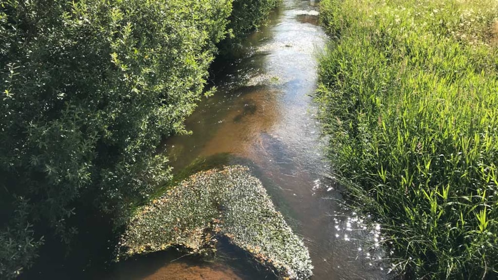 Fjederholt Å (Fjederholt River)