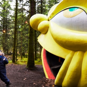 Deep Forest Art Land - Skovsnogen